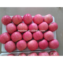 Pome type product variety fuji and fresh fruit apple fruit